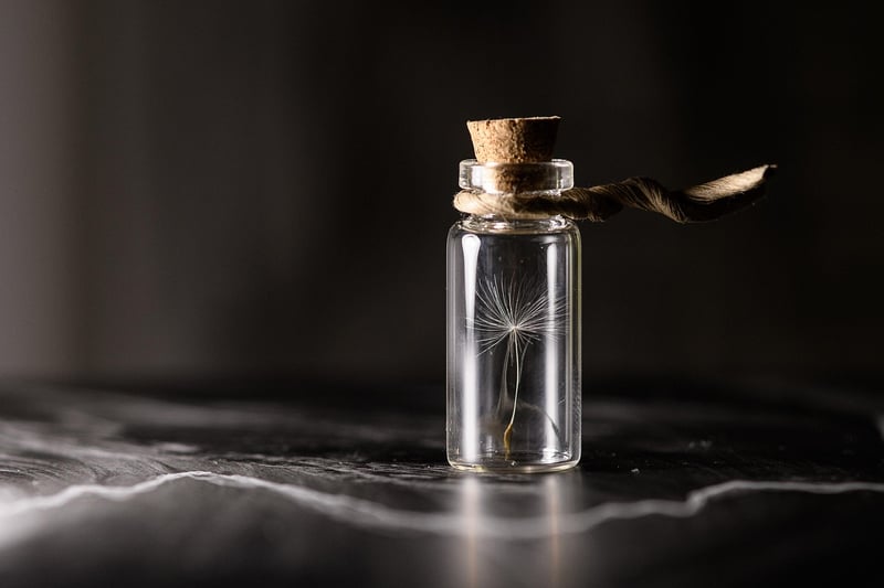 Personal Memories Preservation